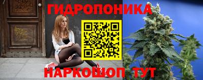 прущие грибы Заводоуковск