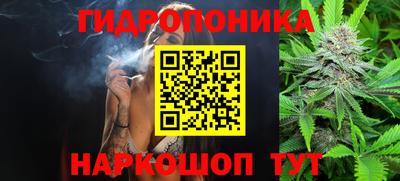 гидропоника Шебекино