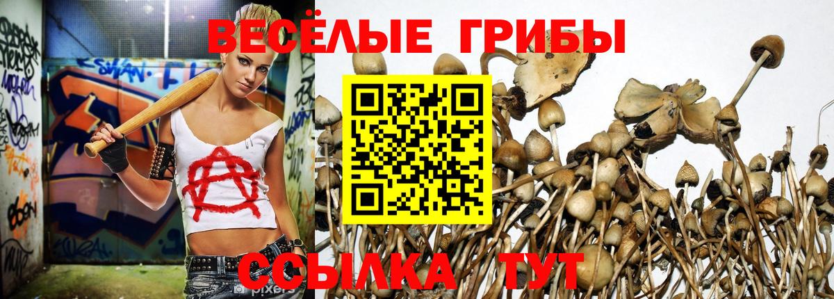 Псилоцибиновые грибы мухоморы  Вход с VPN  Магадан  Галлюциногенные грибы мицелий 